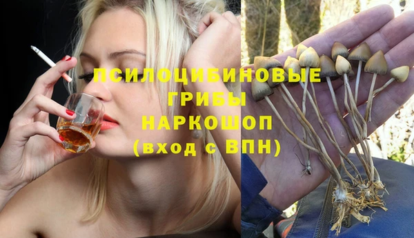 скорость Алексин