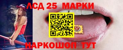 дмт Краснодар