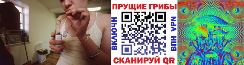 Псилоцибиновые грибы Psilocybine cubensis  закладки  hydra ссылки  Кыштым 