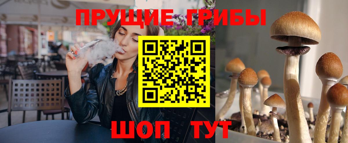 Псилоцибиновые грибы MAGIC MUSHROOMS  Вход с VPN  Кыштым 